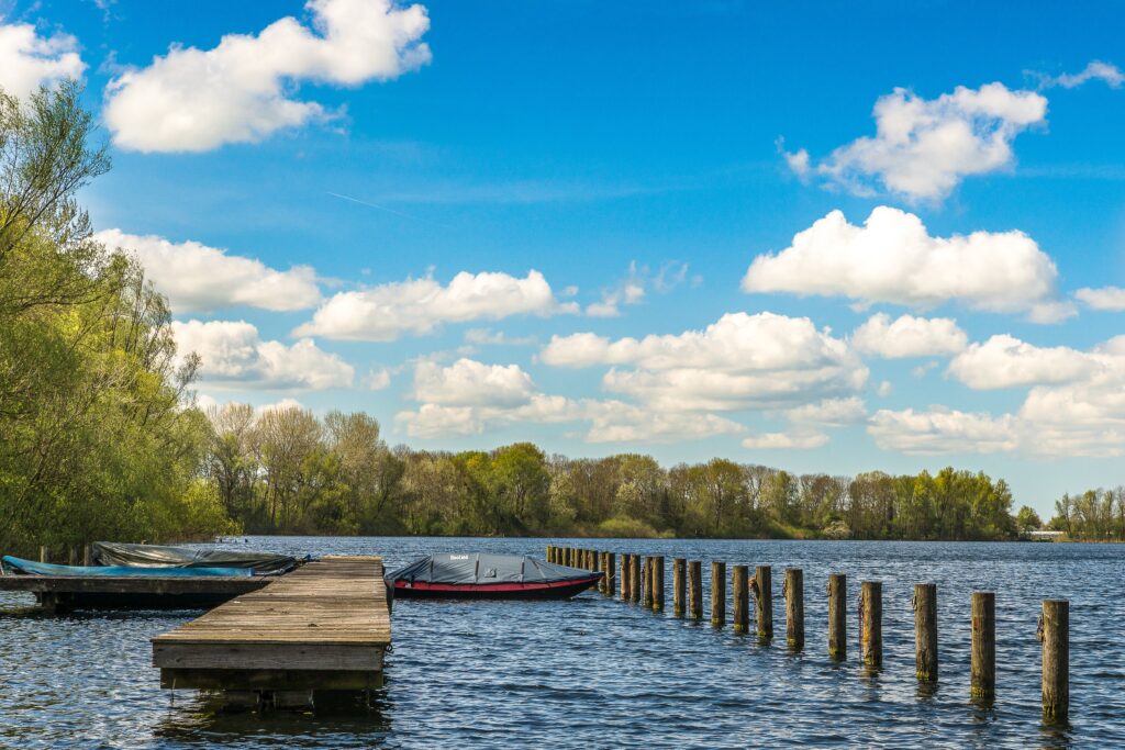 Spędź z nami magiczny Sylwestrowy i Noworoczny Czas pełny spokoju i radości w pałacowej atmosferze otoczonej zimową aurą. Bez głośnej zabawy, bez fajerwerków. Świeże powietrze i otoczenie pięknej przyrody to wspaniałe warunki do relaksu. Zarezerwuj pobyt już dziś.